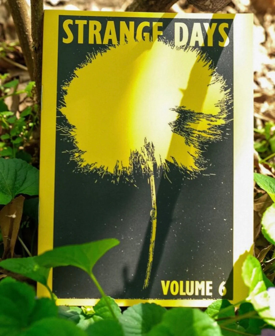 STRANGE DAYS ZINE