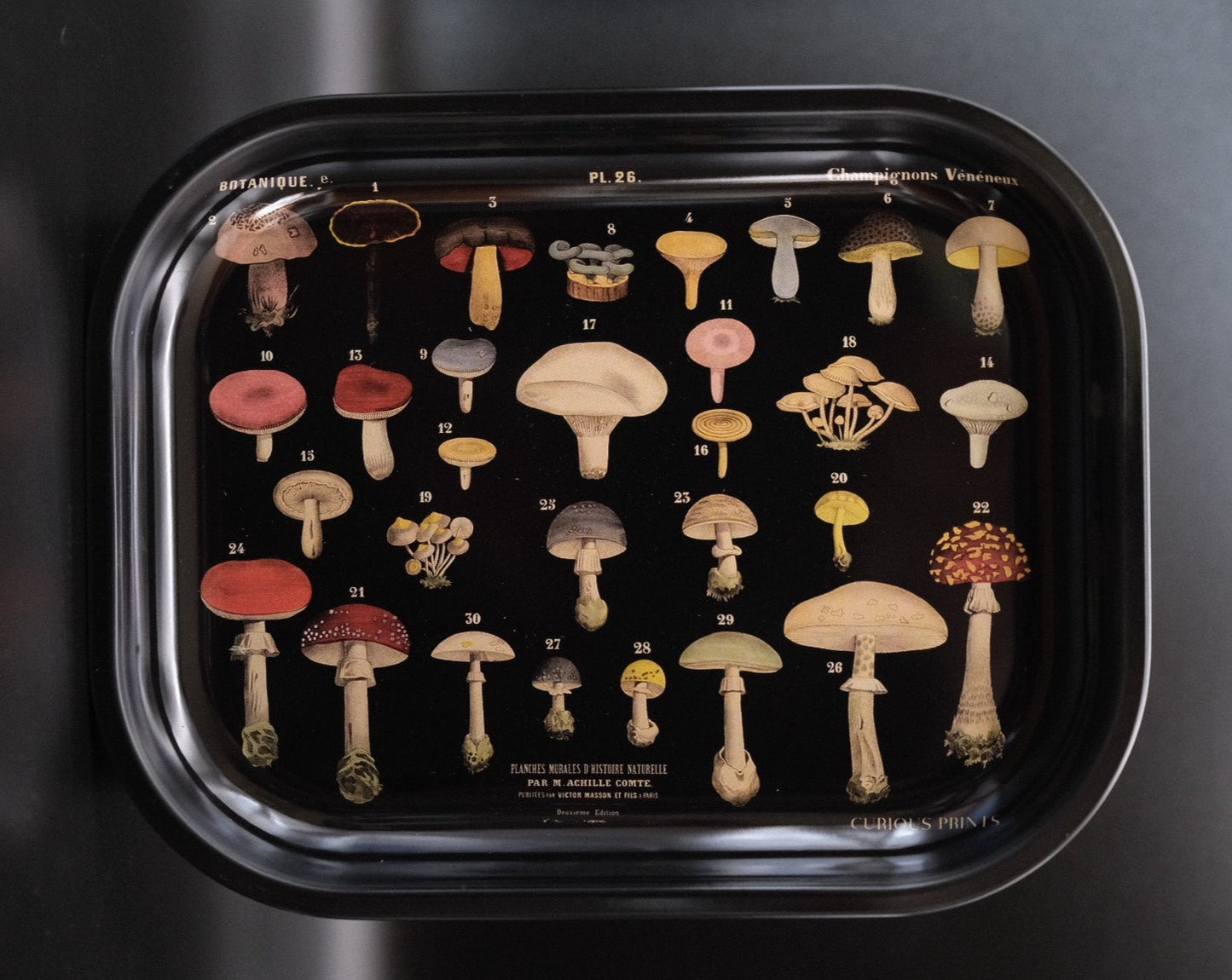 Ritual Tray - Mushrooms