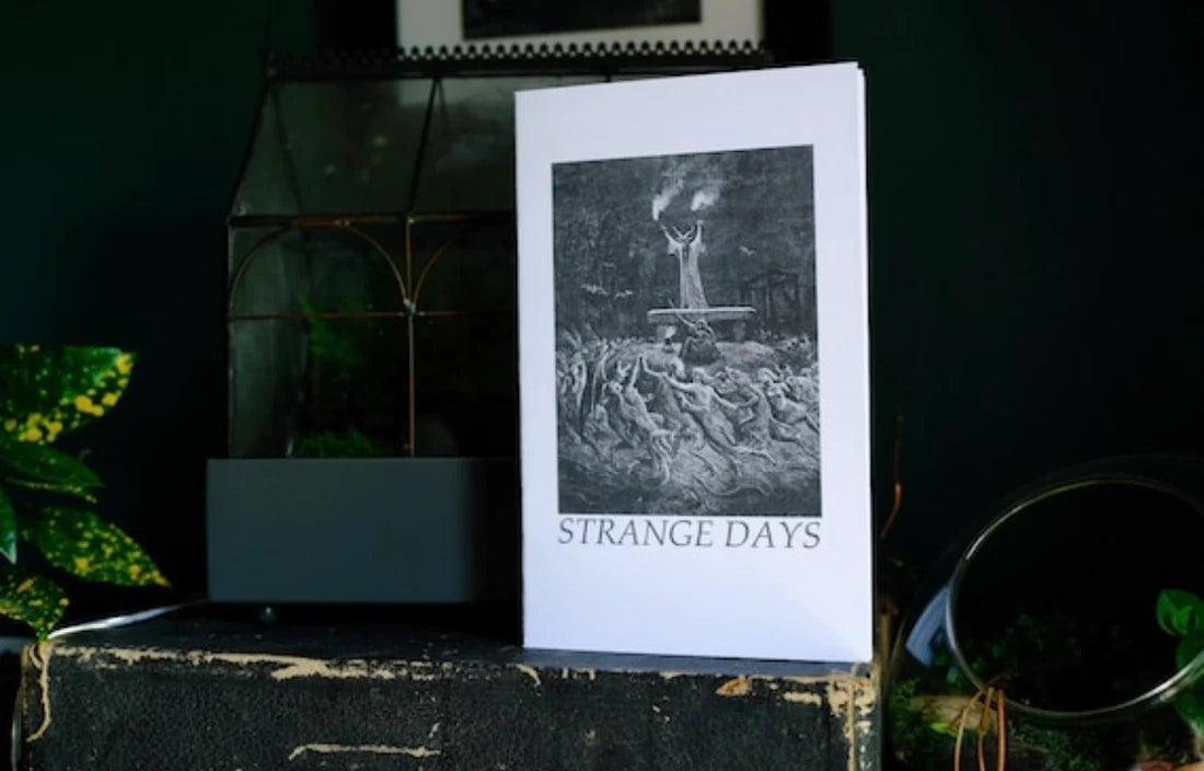 STRANGE DAYS ZINE