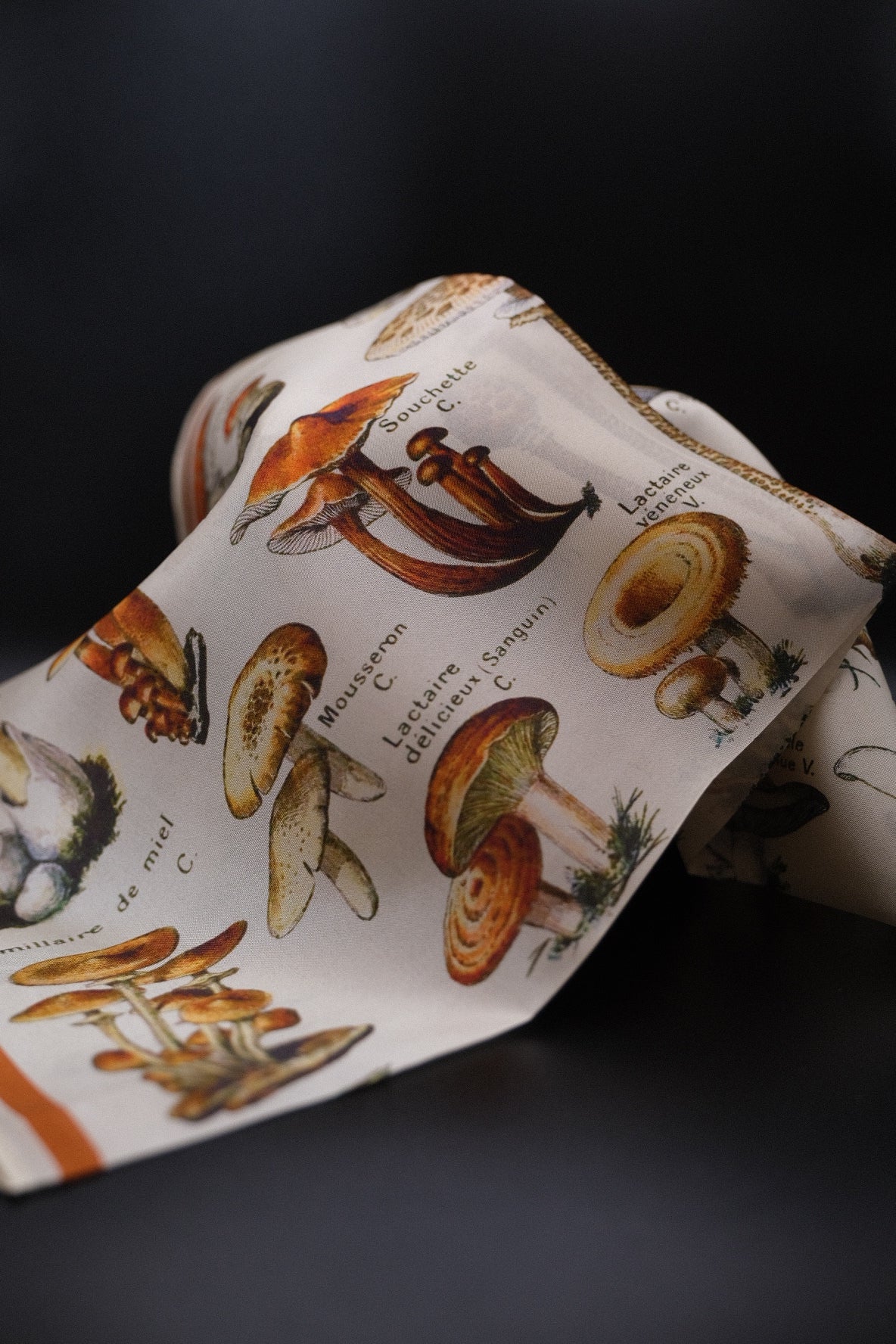 Silk Scarf Altar-cloth - Mushroom Print
