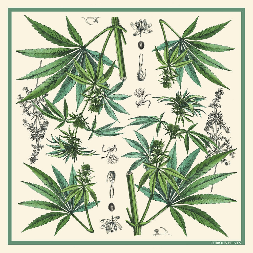Silk Scarf Altar-cloth - Cannabis Print