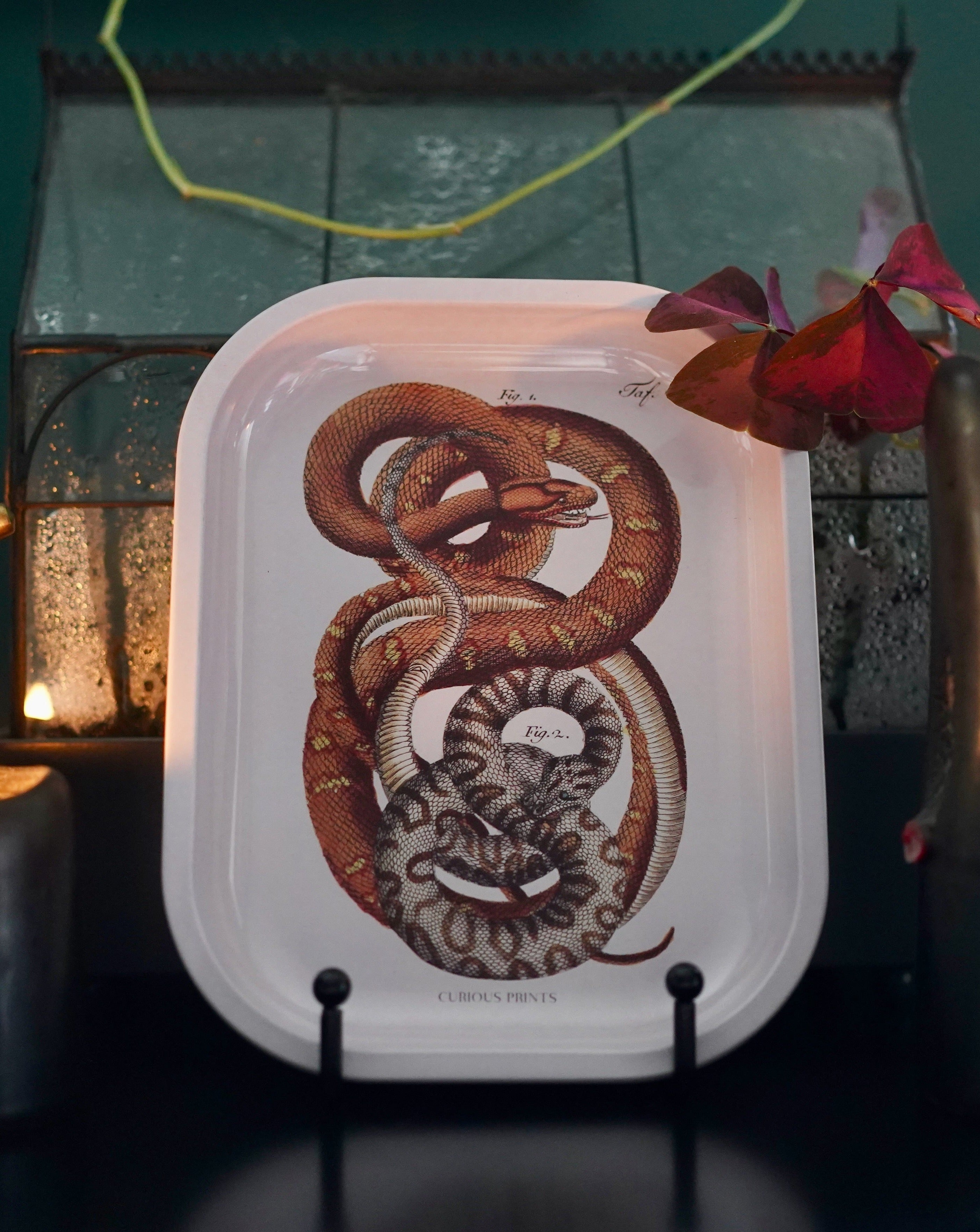 Ritual Tray - Snakes – thegoldenfawn