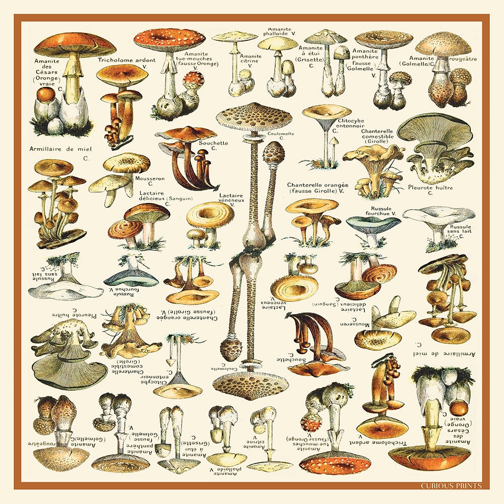 Silk Scarf Altar-cloth - Mushroom Print